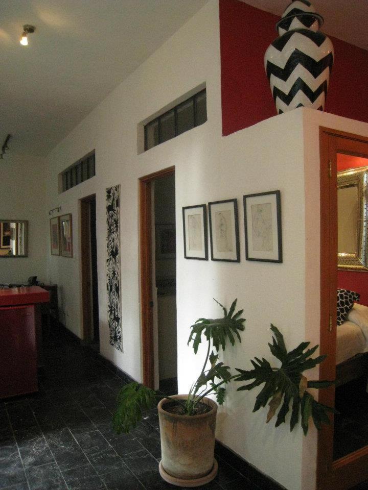 Casa Carly Hotel San Miguel de Allende Kültér fotó