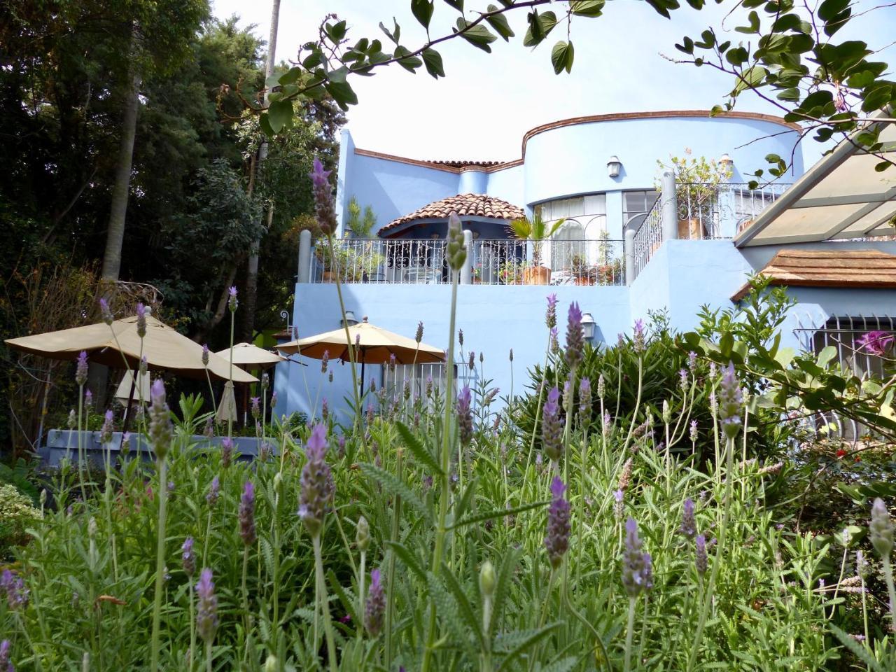 Casa Carly Hotel San Miguel de Allende Kültér fotó
