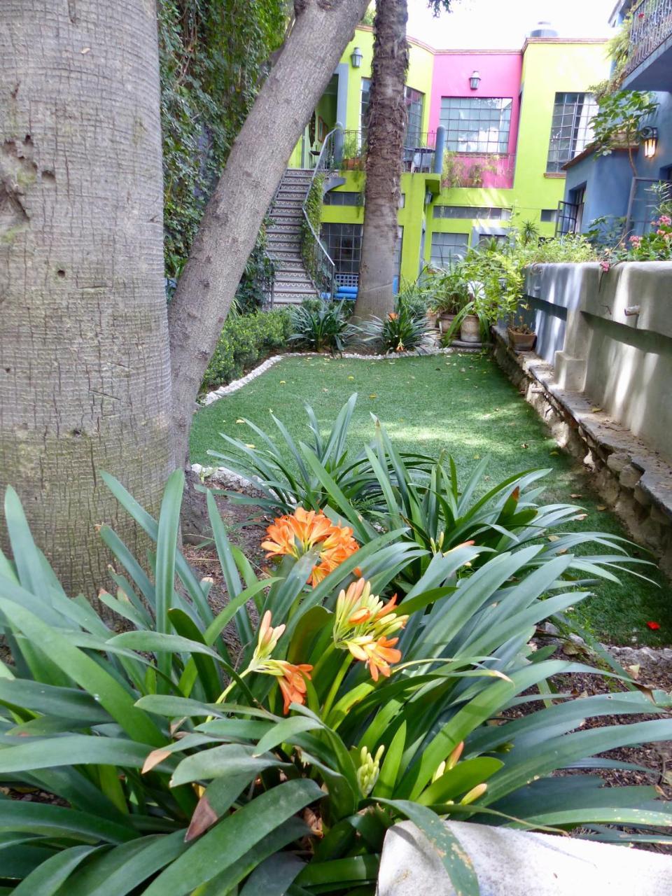 Casa Carly Hotel San Miguel de Allende Kültér fotó